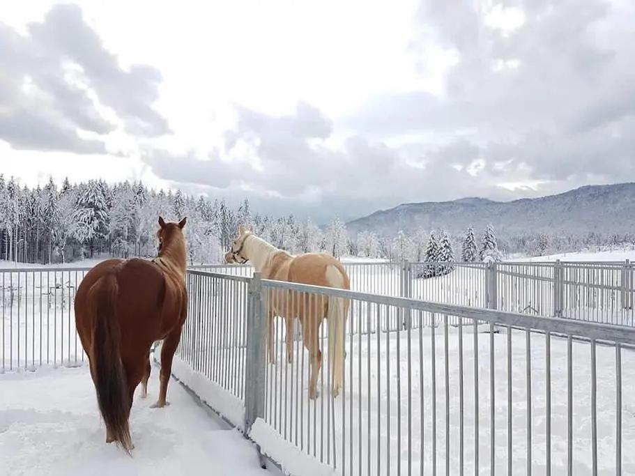 Ranch Marina Hotell Koce Eksteriør bilde