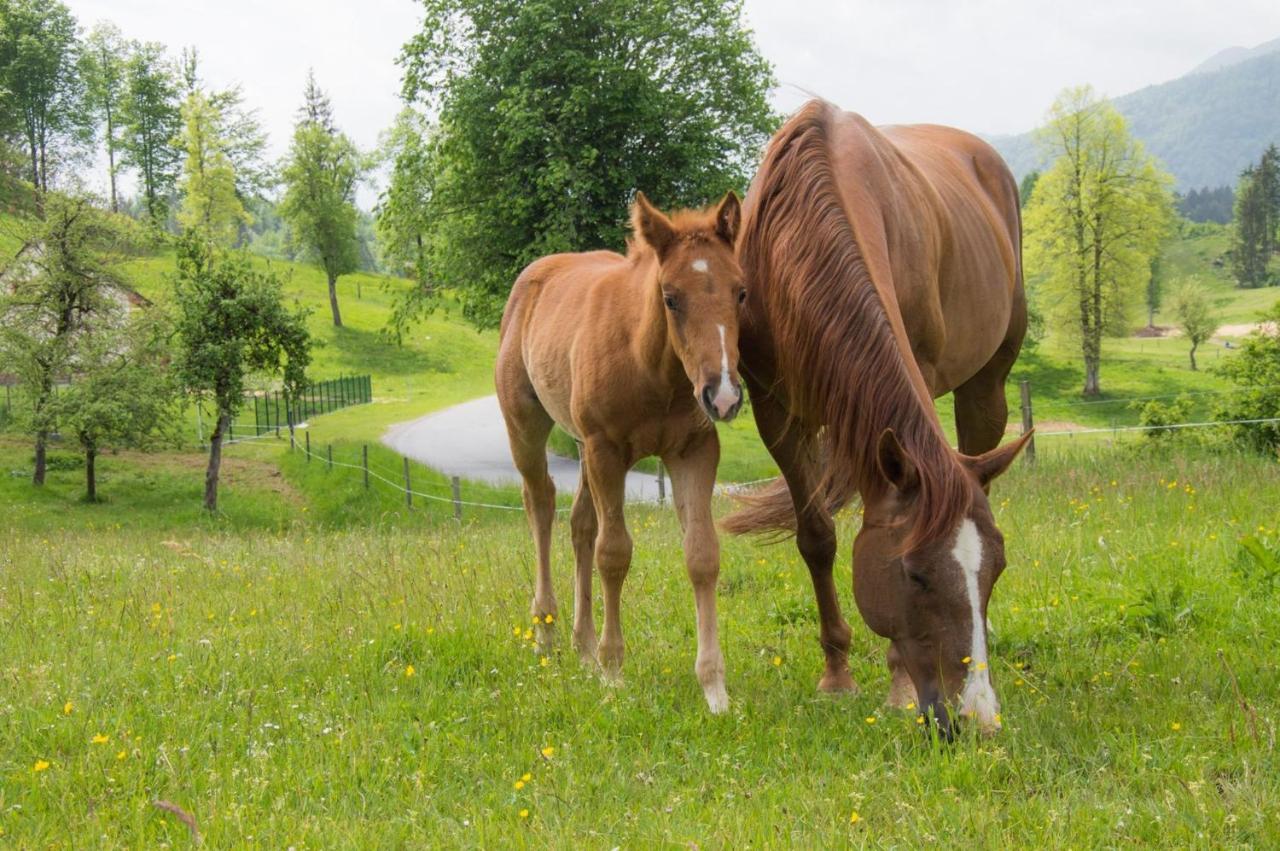 Ranch Marina Hotell Koce Eksteriør bilde
